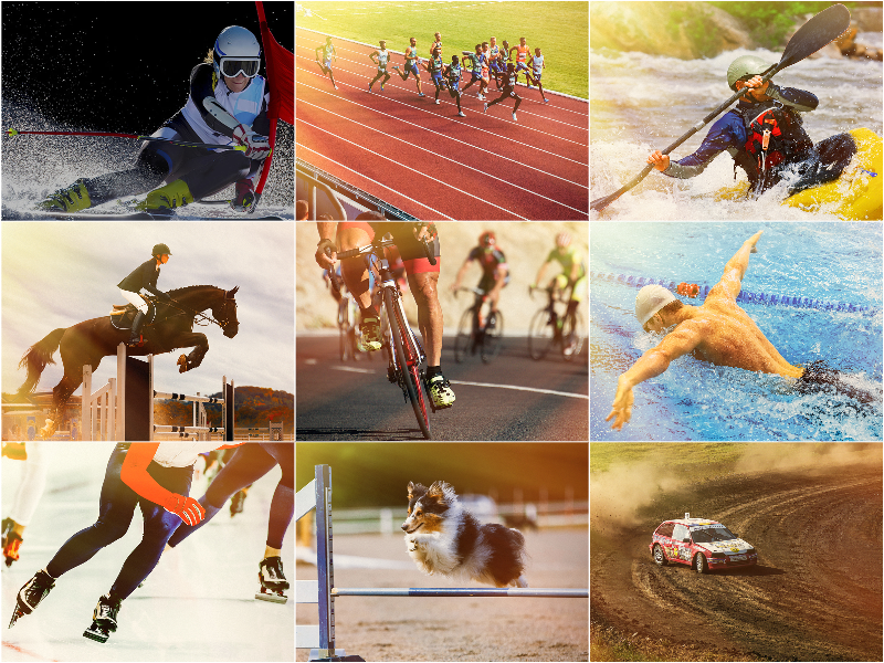 專業比賽計時設備展示